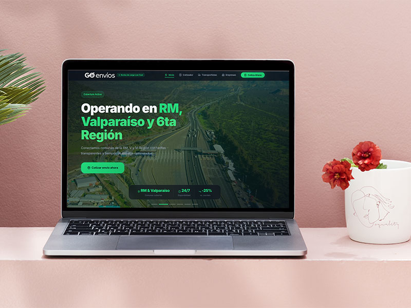 Desarrollo Web & E-commerce