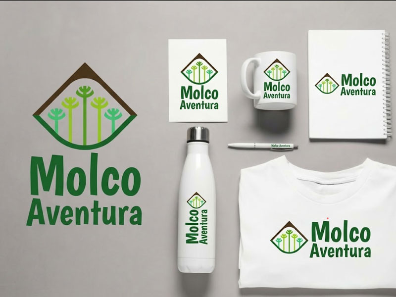 Campaña de Performance